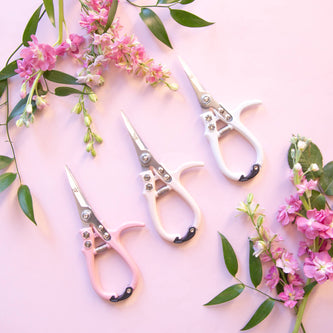 Featured products