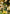 Plant Ties, Garden Tape for Plant, Reusable Adjustable Thicker Support for Growing, Strong Grip, Tomato Vines Indoor Outdoor, 100 Ft (2 Roll 50Ft) X 0.47 Inch, Green
