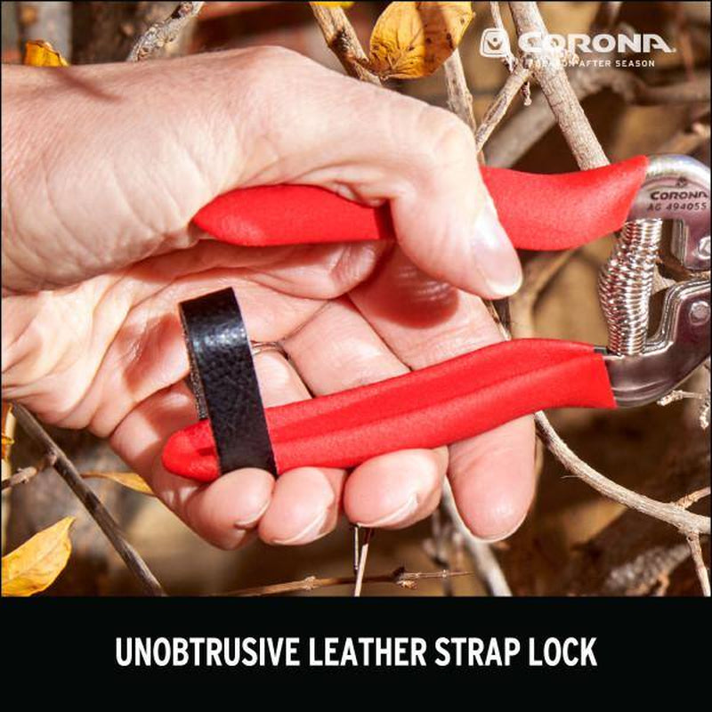 1.75 In. Stainless Steel Long Curved Snips