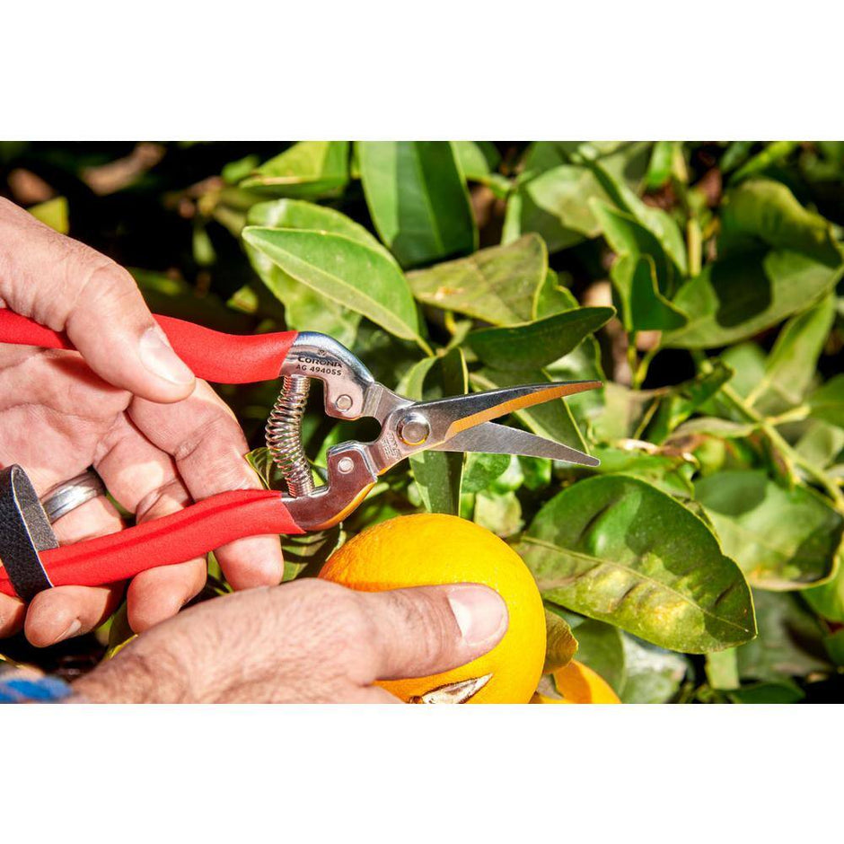 1.75 In. Stainless Steel Long Curved Snips