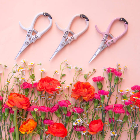 Pruning Shears | Pink