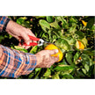 1.75 In. Stainless Steel Long Curved Snips