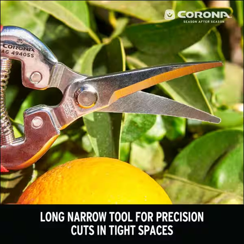 1.75 In. Stainless Steel Long Curved Snips
