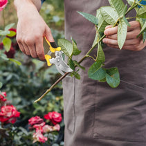 3 Pack Garden Pruning Shears, Stainless Steel Garden Shears, Gardening Shears, Gardening Scissors, Garden Scissors, Garden Clippers, Pruning Snips, Pruning Shears for Gardening Garden Tools