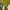 Pruning Shears | Vanilla