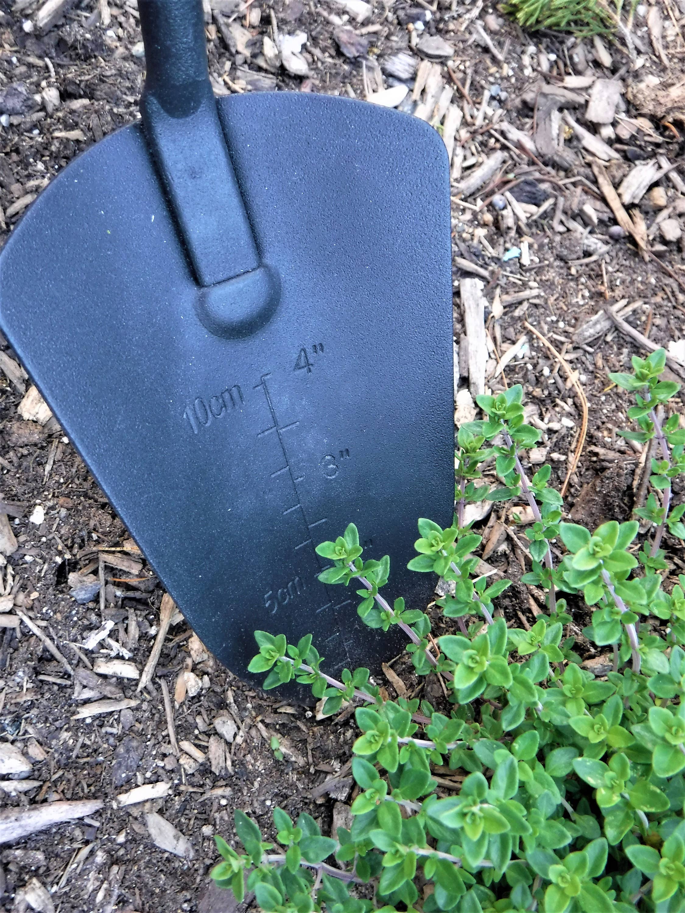 Essential Garden Tool Set