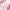 Pruning Shears | Pink