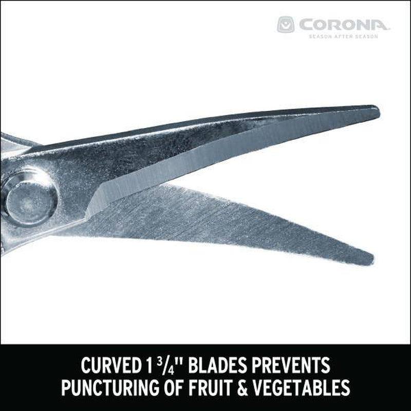 1.75 In. Stainless Steel Long Curved Snips